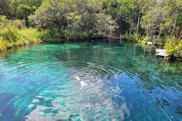 Cenote Corazón Tulum, 7 min walk