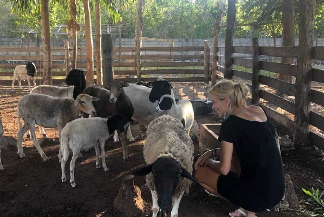 Feeding rescue animals at Rancho Verde Tulum