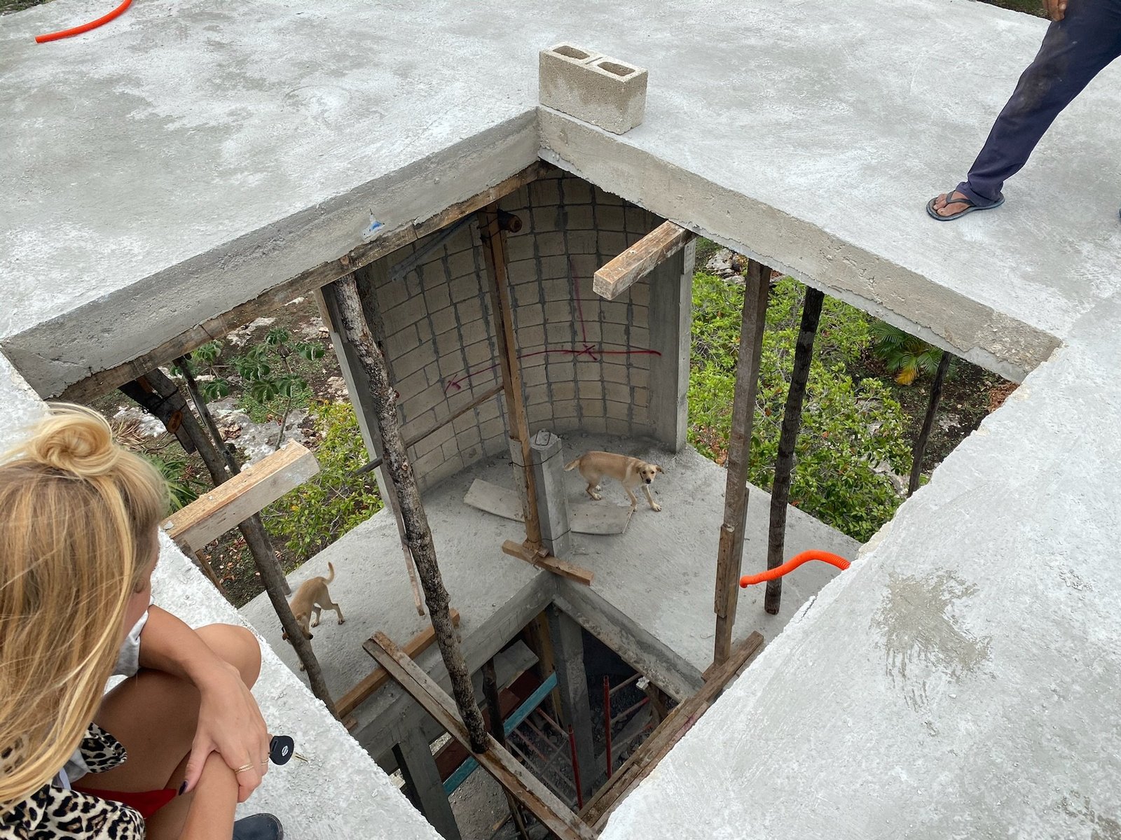 Casa Blanca rough concrete stairwell shaft, view down, with dogs, Rancho Verde Tulum, Tulum, Mexico