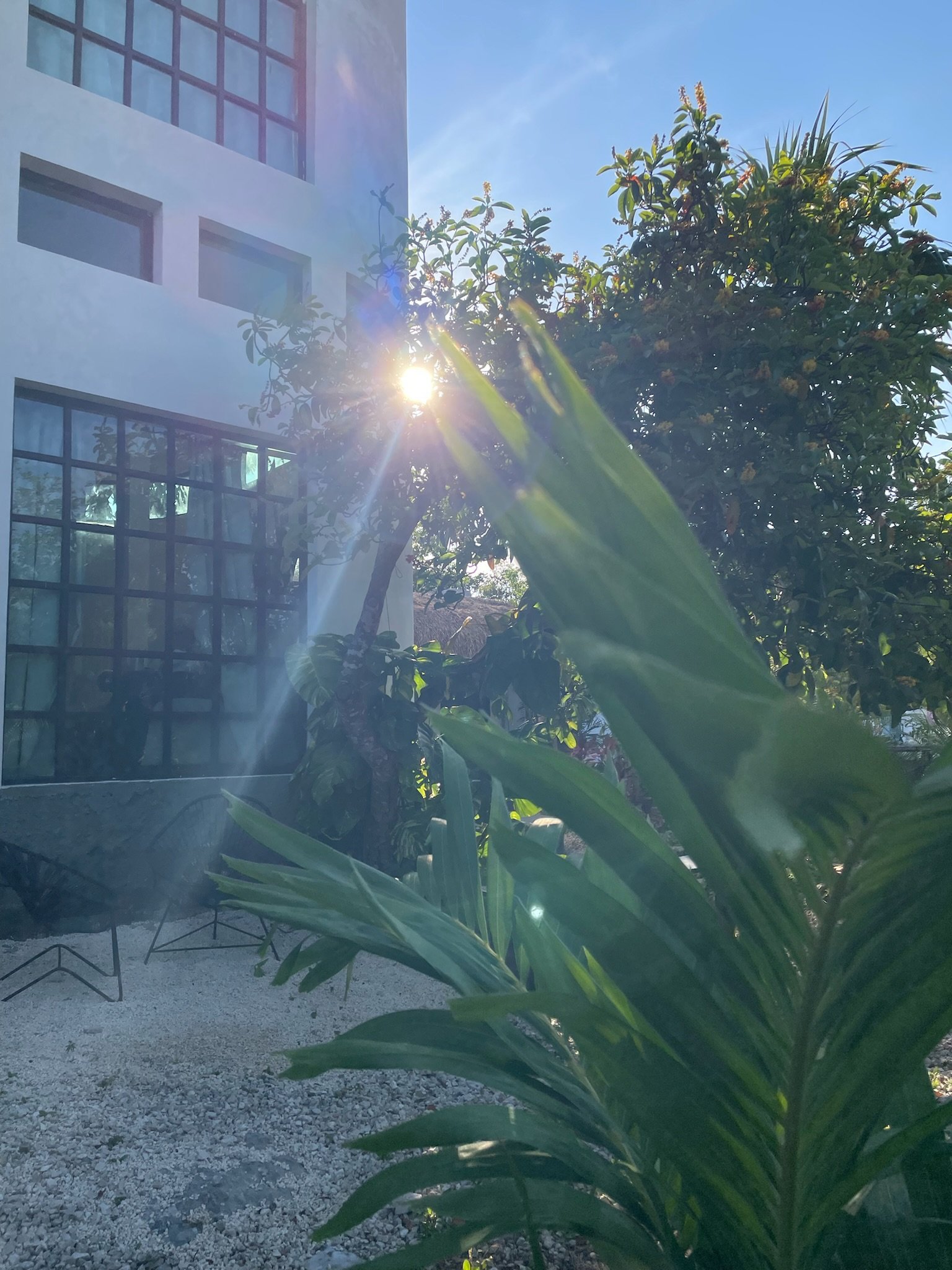 Casa Blanca exterior at sunset, steel-framed windows seen through the planted garden, Rancho Verde Tulum, Tulum, Mexico