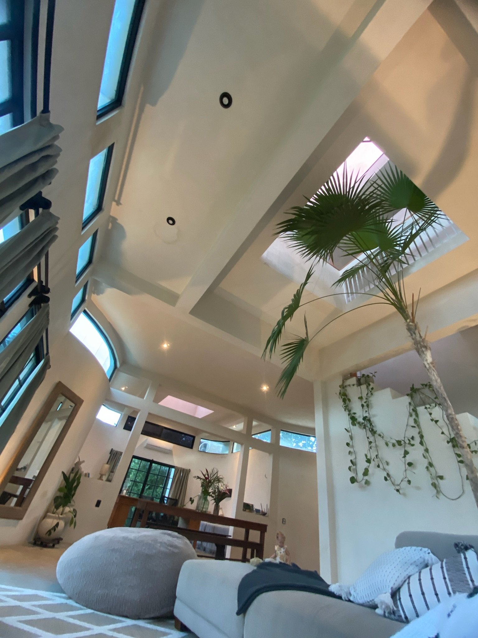 Casa Blanca double-height living room with an indoor palm and vine wall, Rancho Verde Tulum, Tulum, Mexico