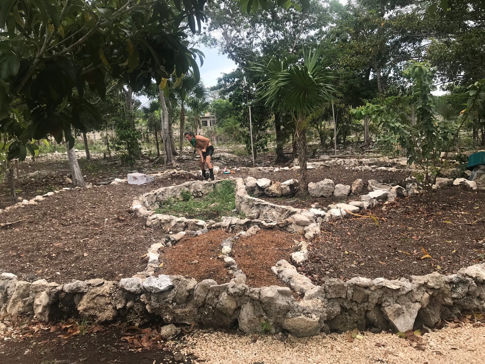 Garden bed construction, worker building stone borders, Rancho Verde Tulum, Tulum, Mexico