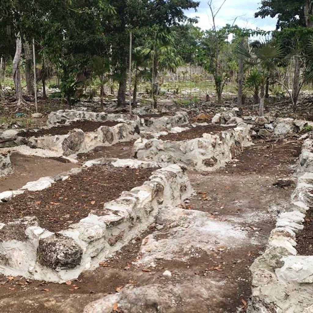 Bare garden beds before planting, Rancho Verde Tulum, Tulum, Mexico