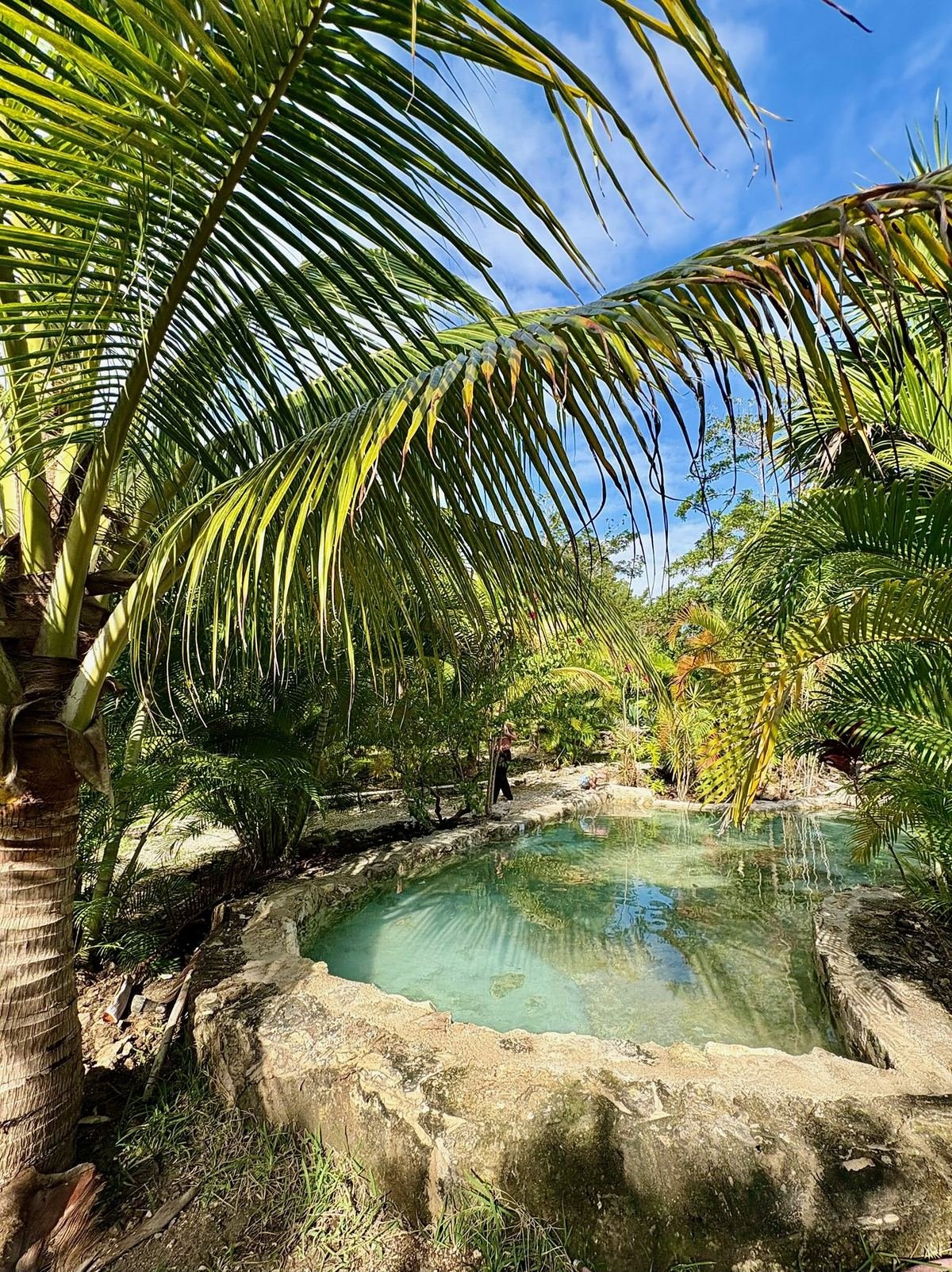 Natural stone plunge pool in the jungle, Rancho Verde Tulum, Tulum, Mexico