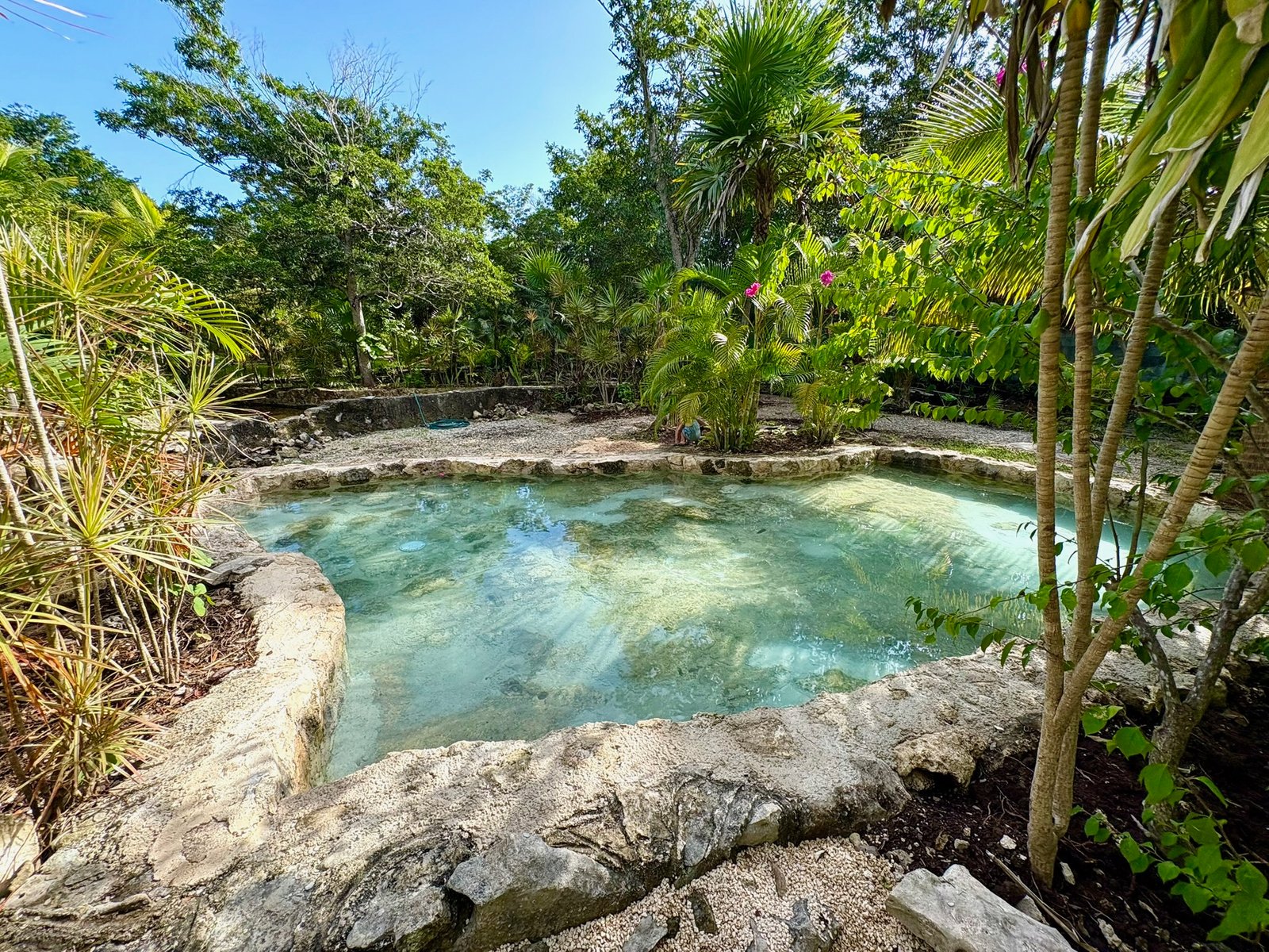 Natural stone-edged swimming pool set into the jungle, Rancho Verde Tulum, Tulum, Mexico