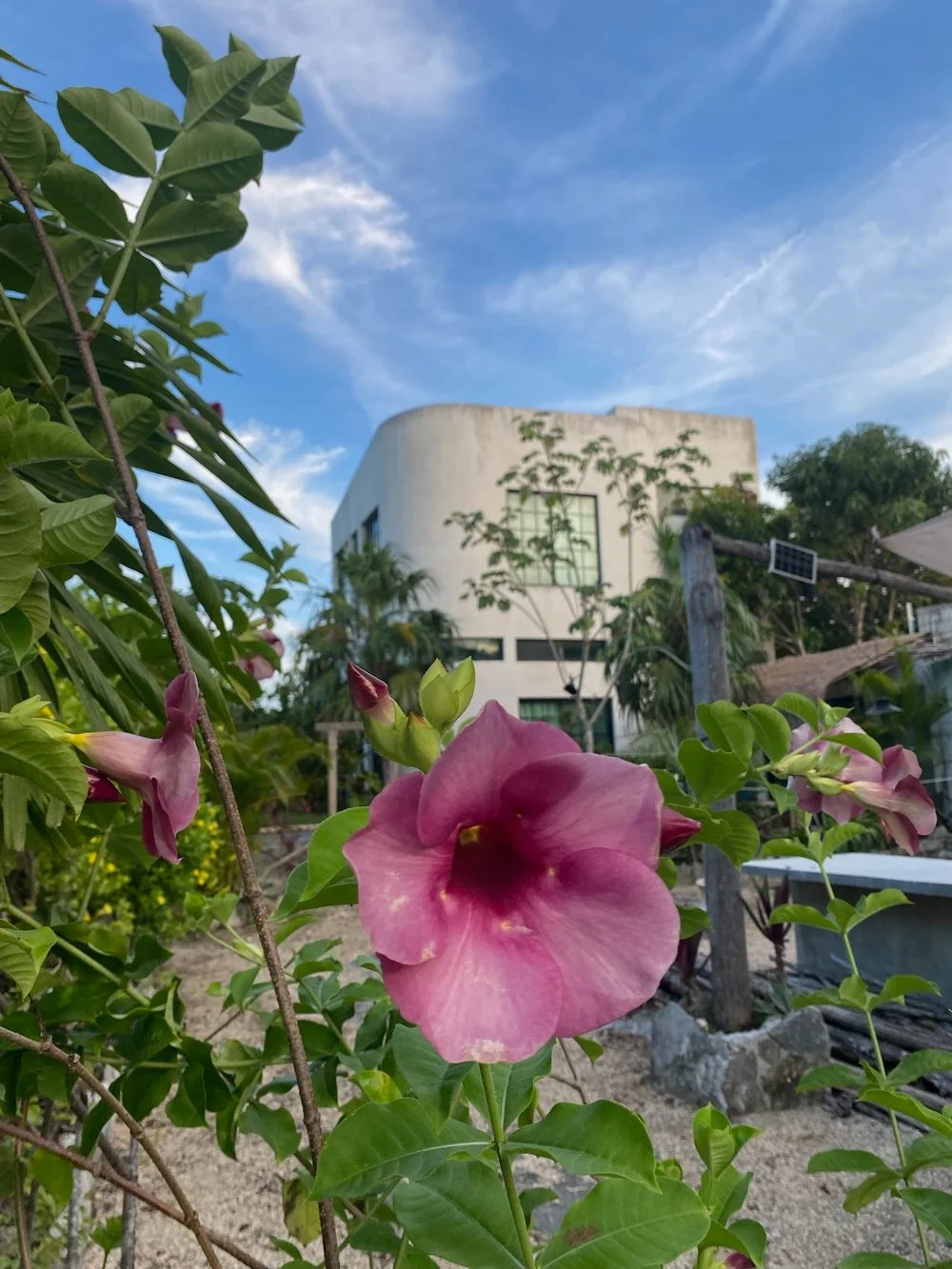 Rancho Verde Tulum, zero-waste eco sanctuary Airbnb Superhost and Guest Favorite