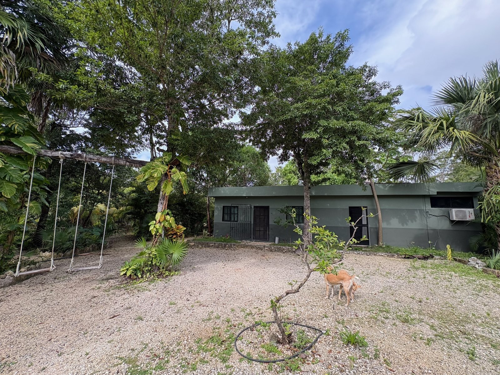 Exterior with rope swings under the trees, The Family House, Airbnb at Rancho Verde Tulum