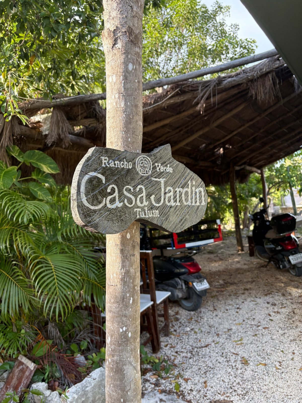 Exterior seen through cactus and noni trees, The Garden House, Airbnb at Rancho Verde Tulum