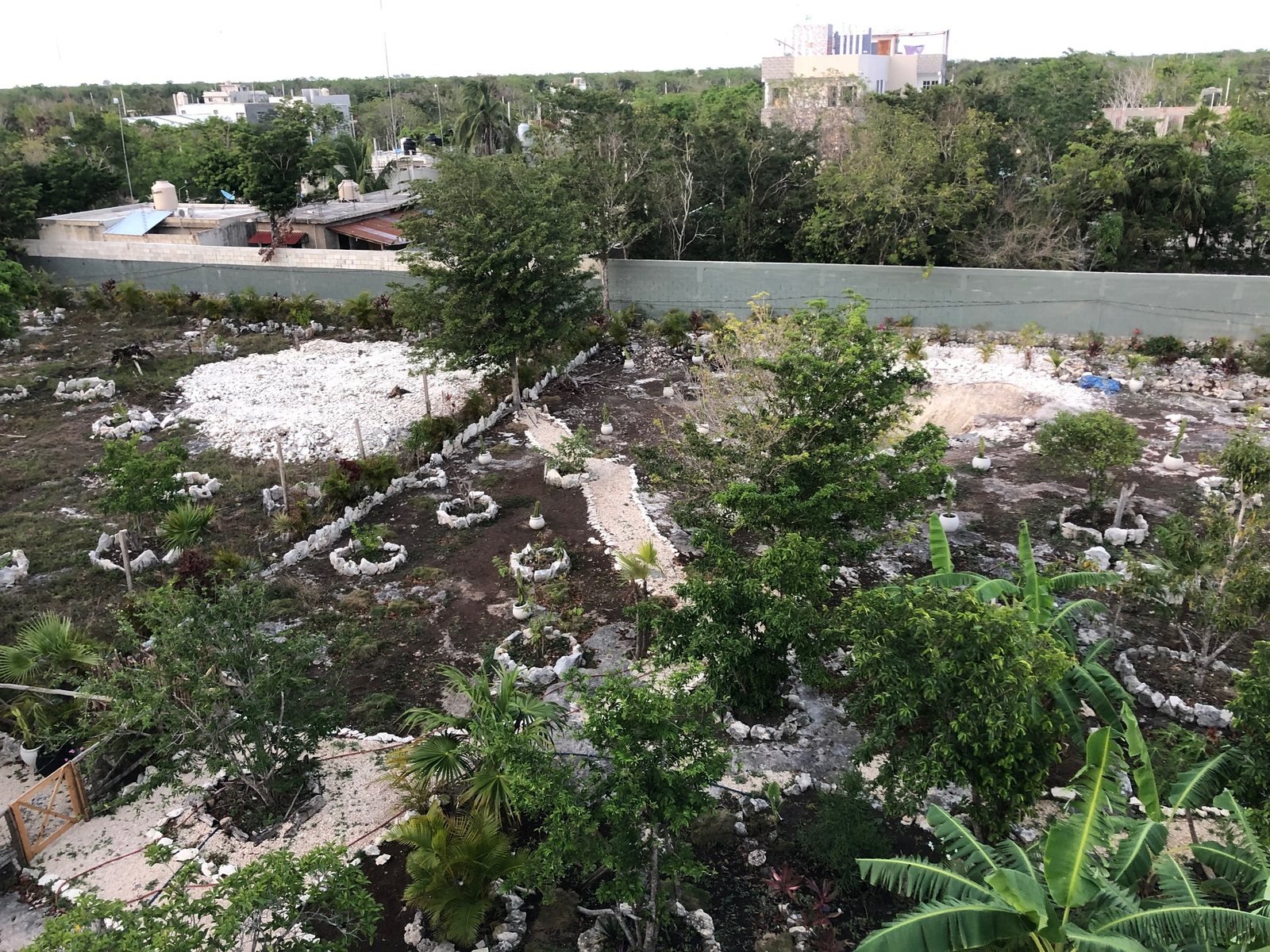 Aerial view of the young garden with stone-ringed planting circles, Airbnb at Rancho Verde Tulum