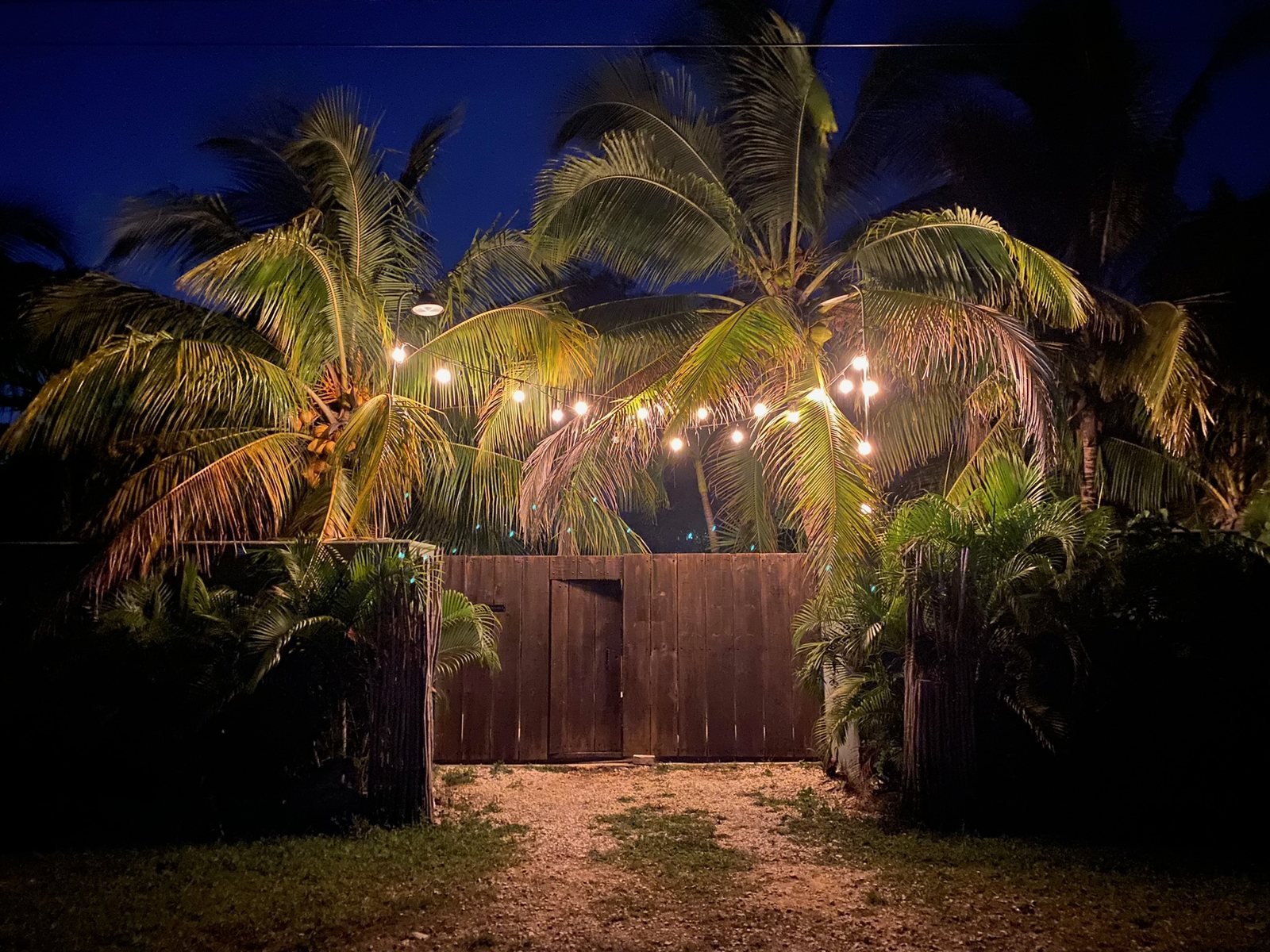 Wooden entrance gate under palms and string lights at night, Rancho Verde Tulum