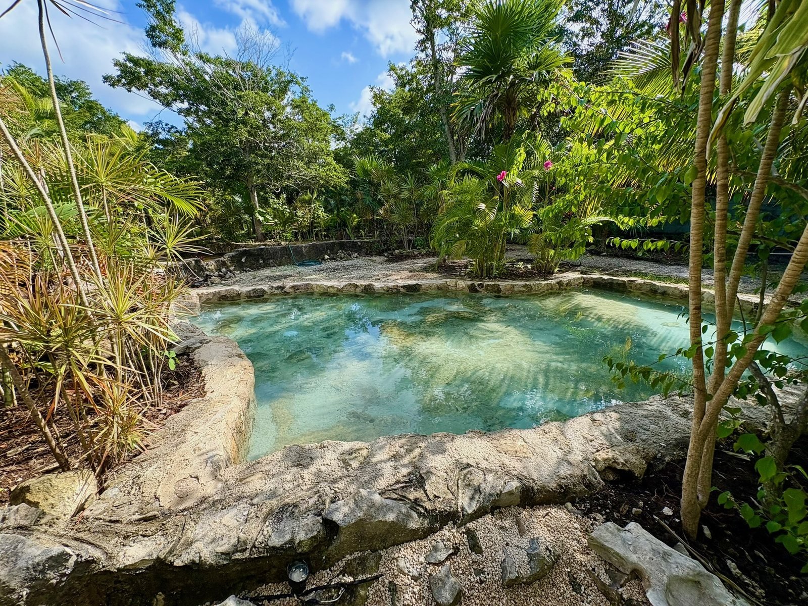 Lagunita-style natural rock pool surrounded by jungle, Airbnb at Rancho Verde Tulum