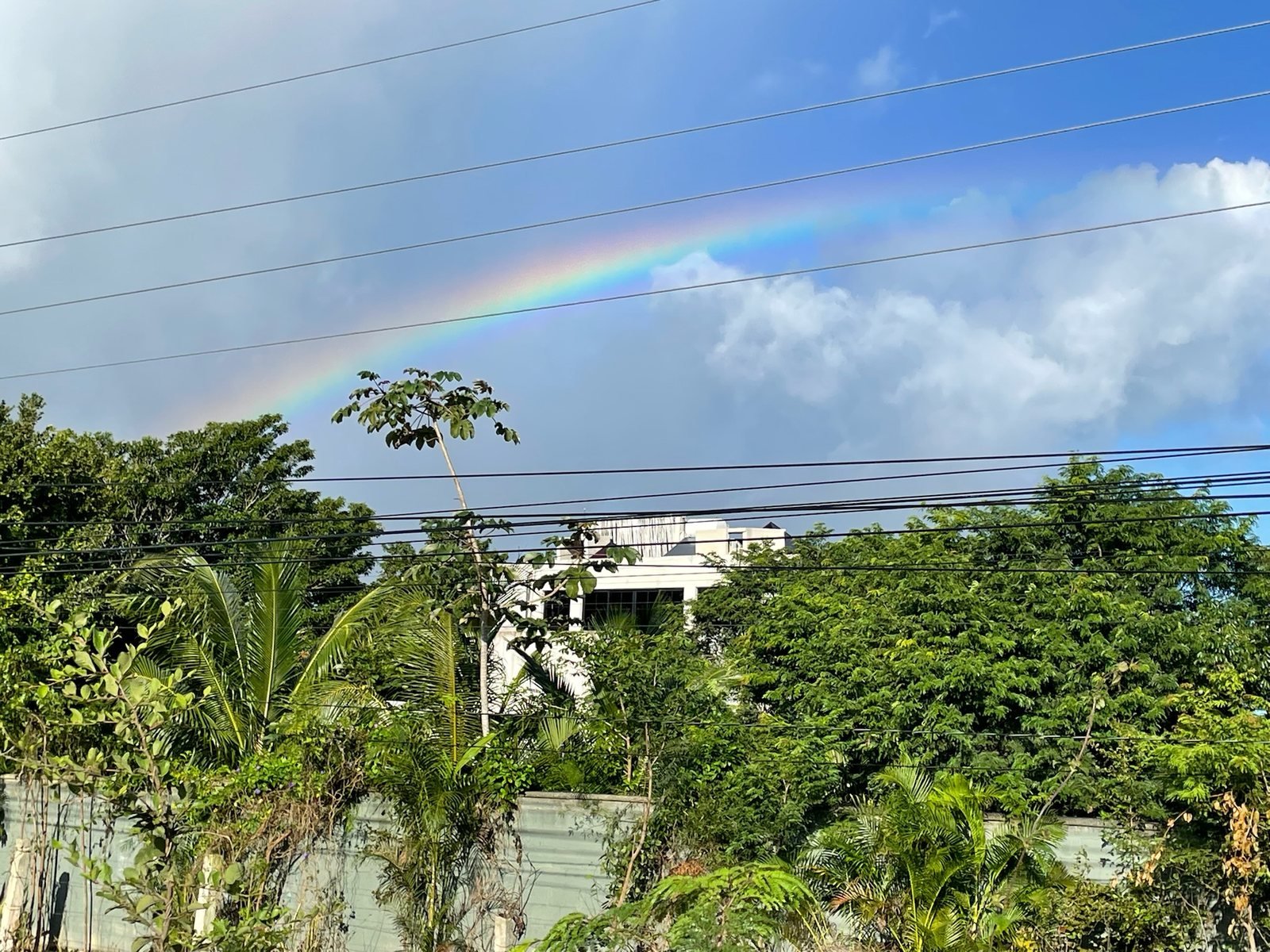 Rainbow over the jungle canopy, Rancho Verde Tulum