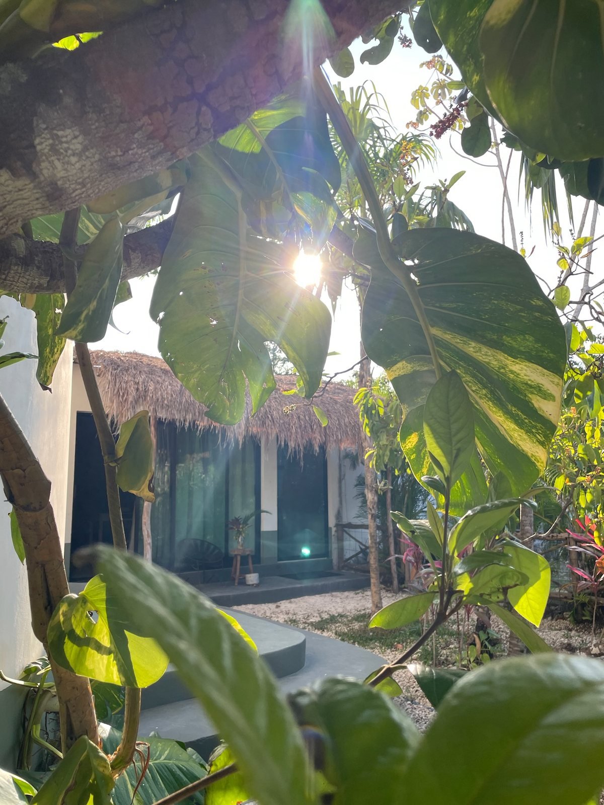Sunlight through tropical leaves onto a palapa-roofed guest house, Rancho Verde Tulum