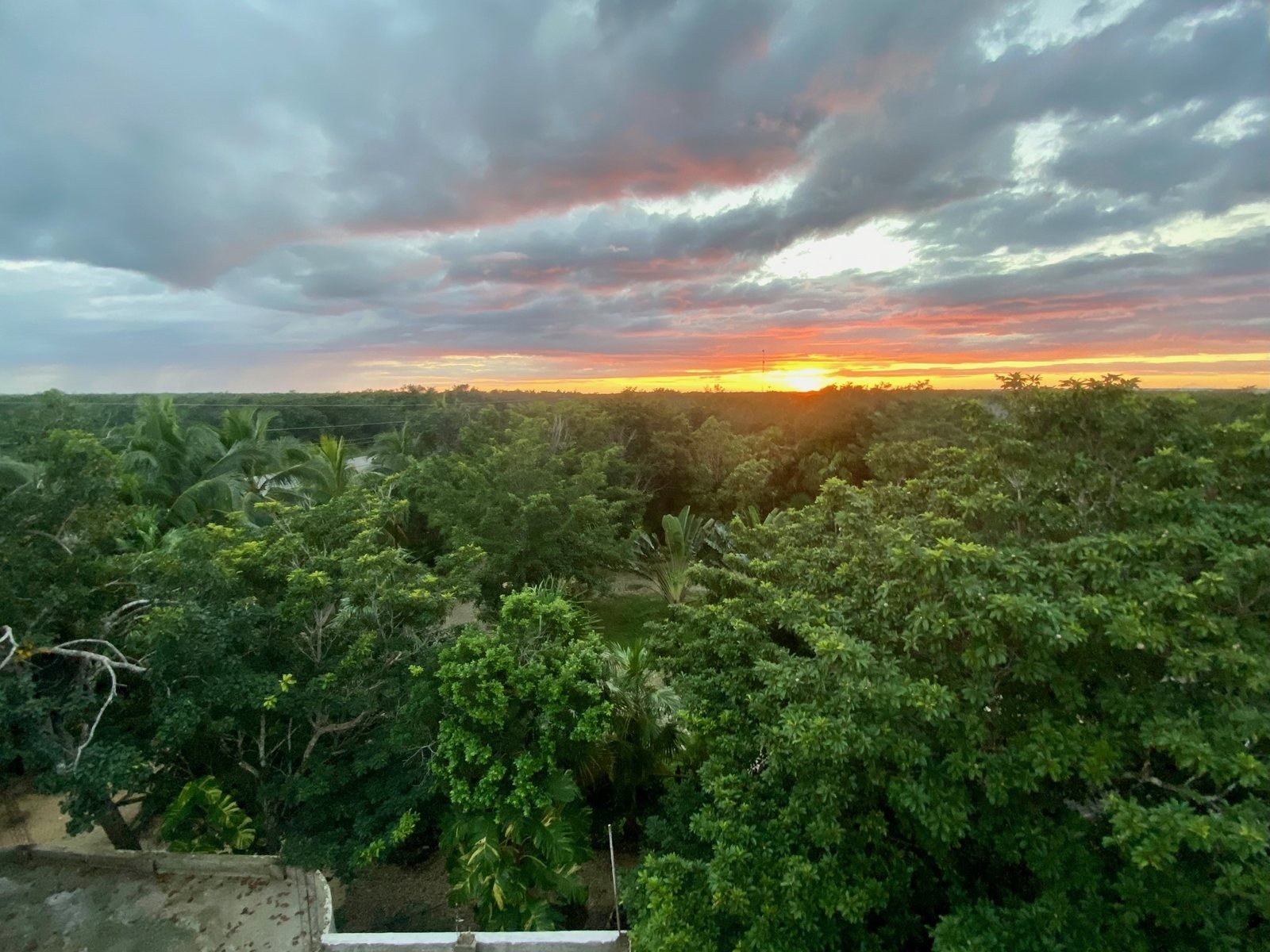 Sunset over the jungle canopy seen from the rooftop, Airbnb at Rancho Verde Tulum