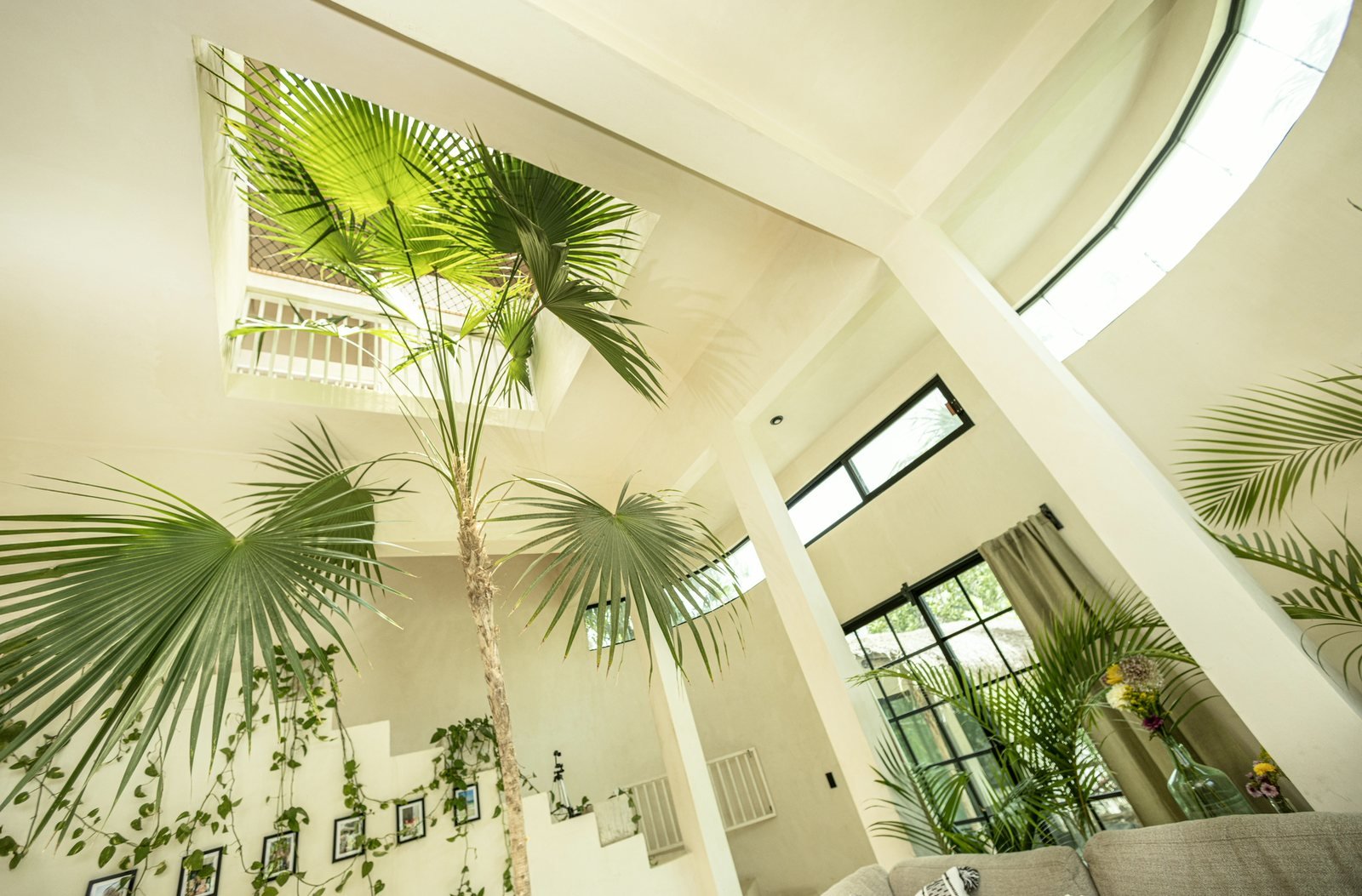 Indoor palm tree growing up to the skylight in the Villa, Airbnb at Rancho Verde Tulum