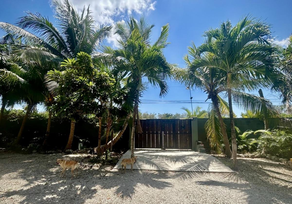 Private gated entrance framed by tall palm trees at Rancho Verde Tulum, a four-hectare wedding estate near Tulum, Mexico