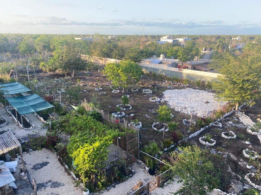 Aerial view of the self-planted gardens and tree nursery, Rancho Verde Tulum retreat sanctuary, Tulum Mexico