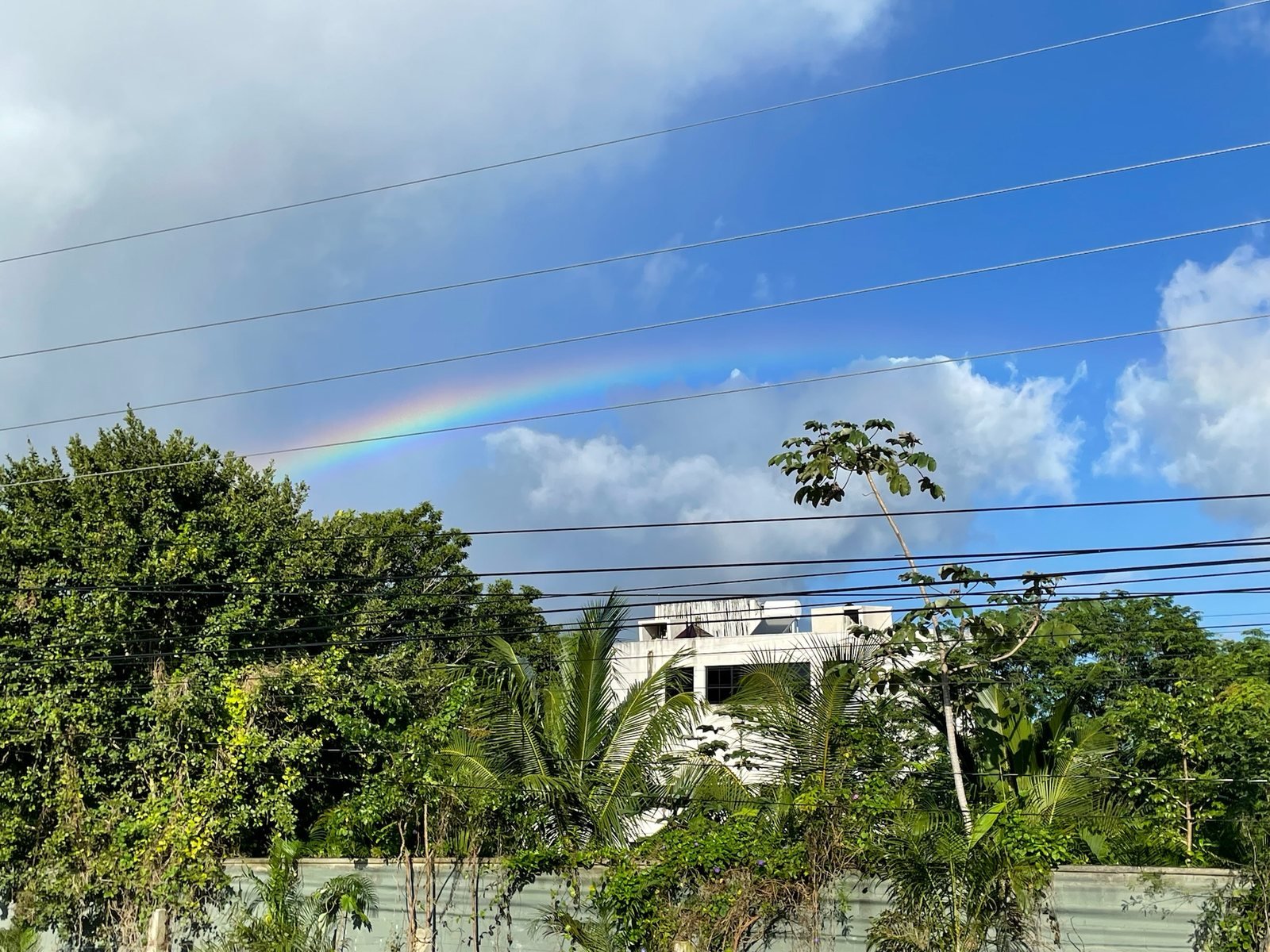 Rainbow over the jungle canopy, Rancho Verde Tulum retreat sanctuary, Tulum Mexico